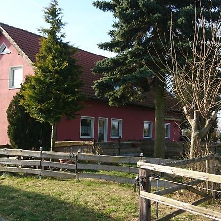 Ferienhaus Rothemuhle Villa Kottmar Exterior photo